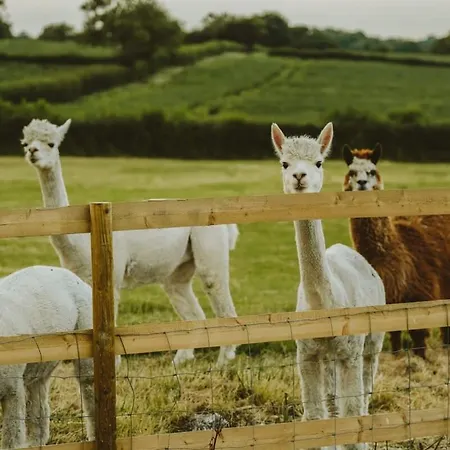 Feriehus The Cottage- Hopewell *