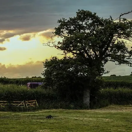 펜션 The Cottage- Hopewell