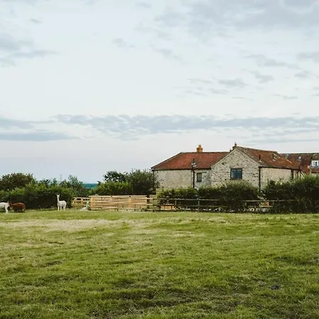 The Cottage- Hopewell Vakantiehuis Bristol