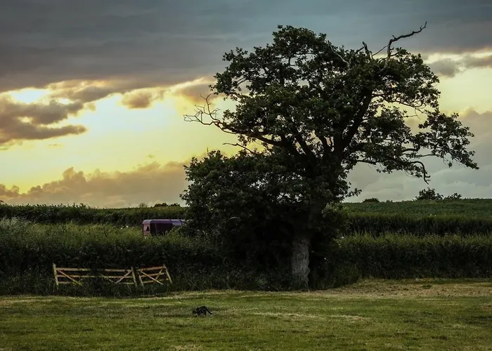 Feriehus The Cottage- Hopewell