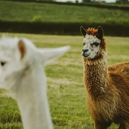 Nyaraló The Cottage- Hopewell *