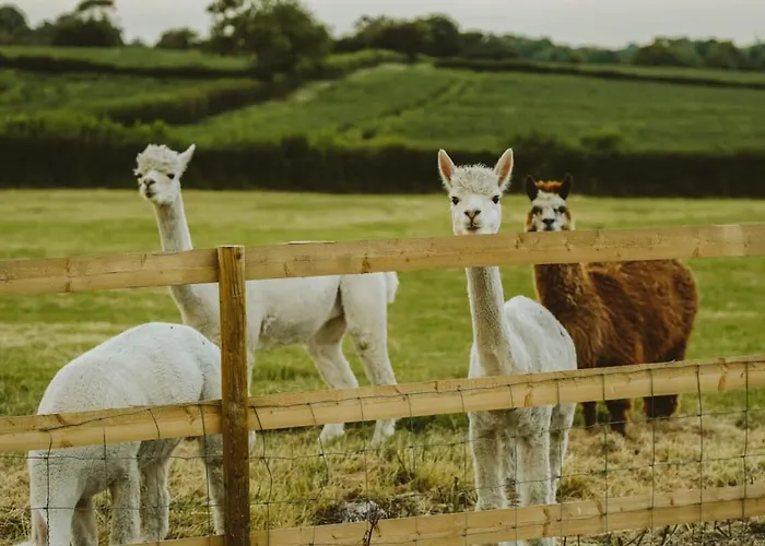 Nyaraló The Cottage- Hopewell *